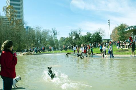 Johnny Steele Dog Park opens along Buffalo Bayou