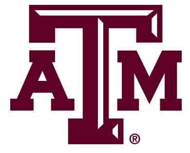 Texas A&M says personal data mistakenly published online