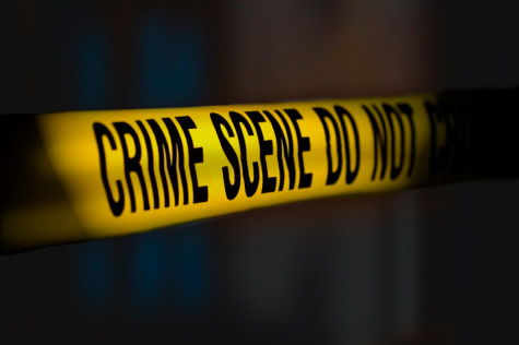 Intuition prevents crime
