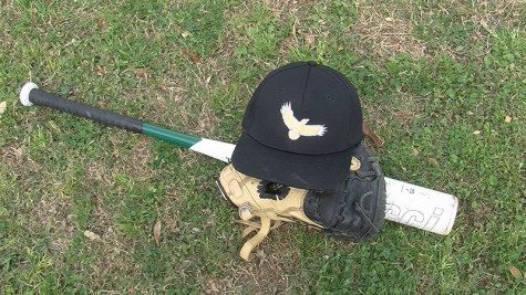 HCC Baseball takes flight
