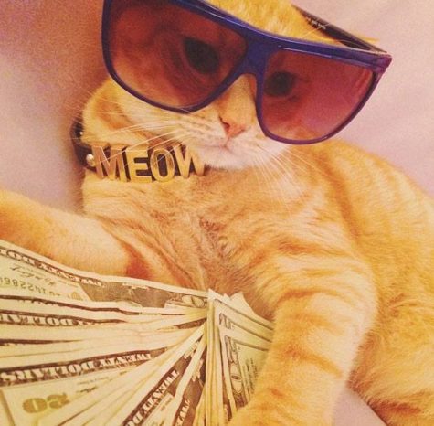 MEOW with Young Invincibles
