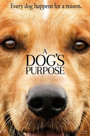 Good boy! But the movie?