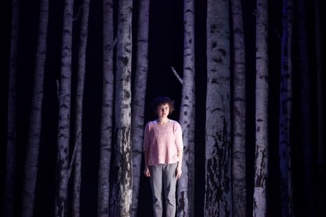 ‘Let the Right One In’ terrifies and charms on-stage