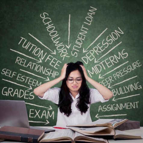 My Journey This Semester