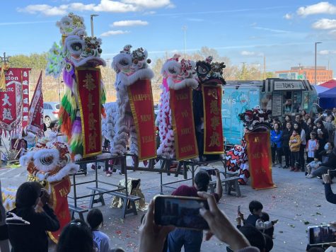 Majestic Lion Dance performing in celebration of the Lantern Festival (@majesticliondance) 