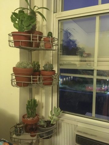 a tower of succulents in a small area