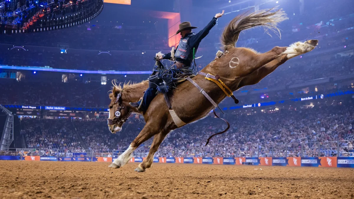 The Houston Livestock Show and Rodeo