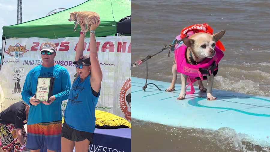 10-Year-Old First-Time Surfer Jasper Wins Tito’s Spirit Award at Ohana Surf Dog Competition Benefiting Galveston Island Humane Society 