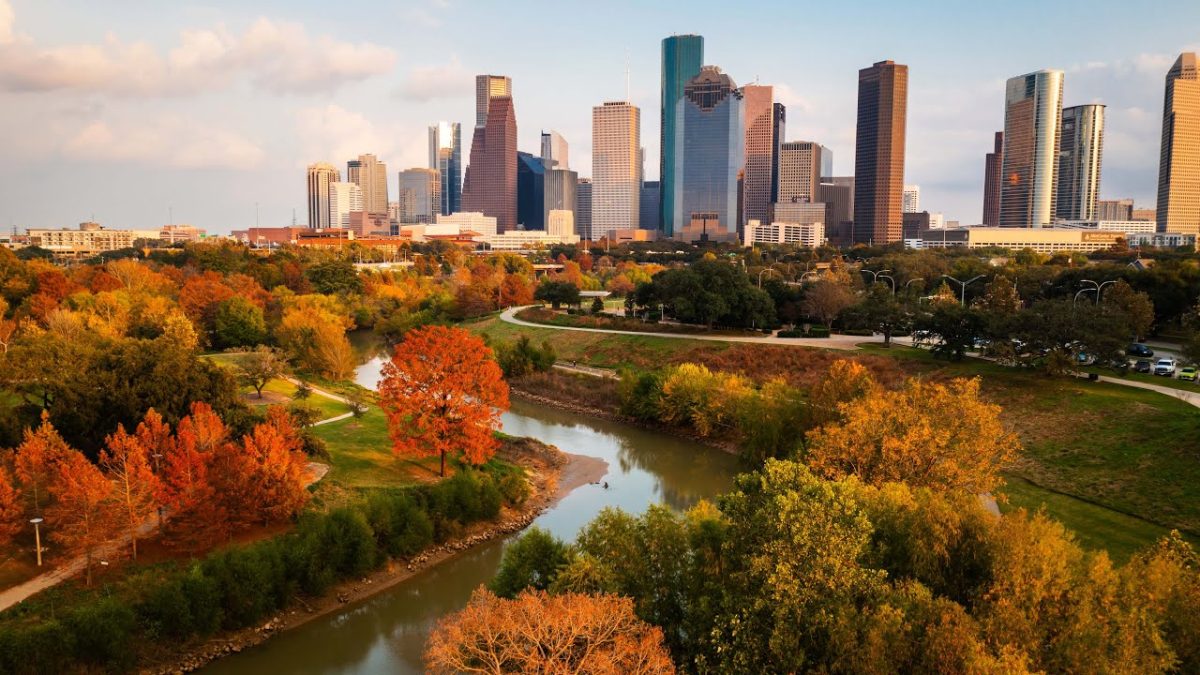 Fall Foliage in Houston